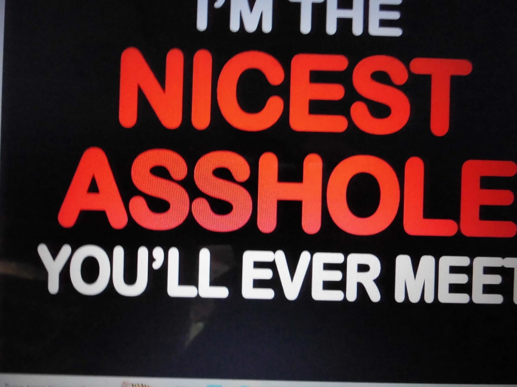 T-Shirt THE NICEST ASSHOL*  TRN - 050   Gildan, Hanes, or Jersey