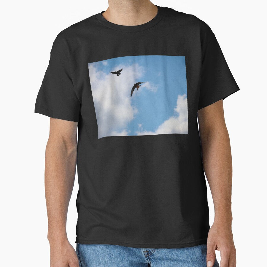 Red Kite and Crow Against Sunny Cloud by nikkysDesigns