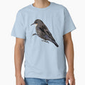White-throated Treecreeper Color Design by designsasstultd