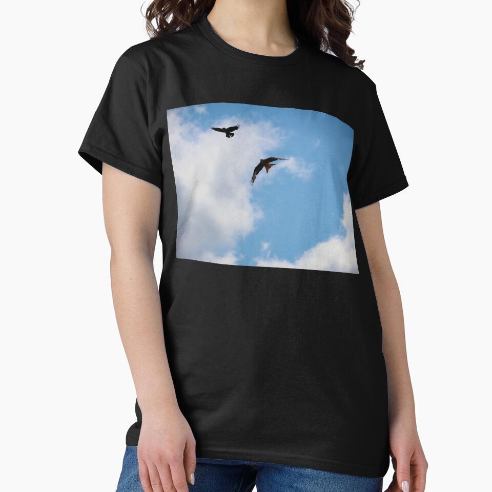 Red Kite and Crow Against Sunny Cloud by nikkysDesigns