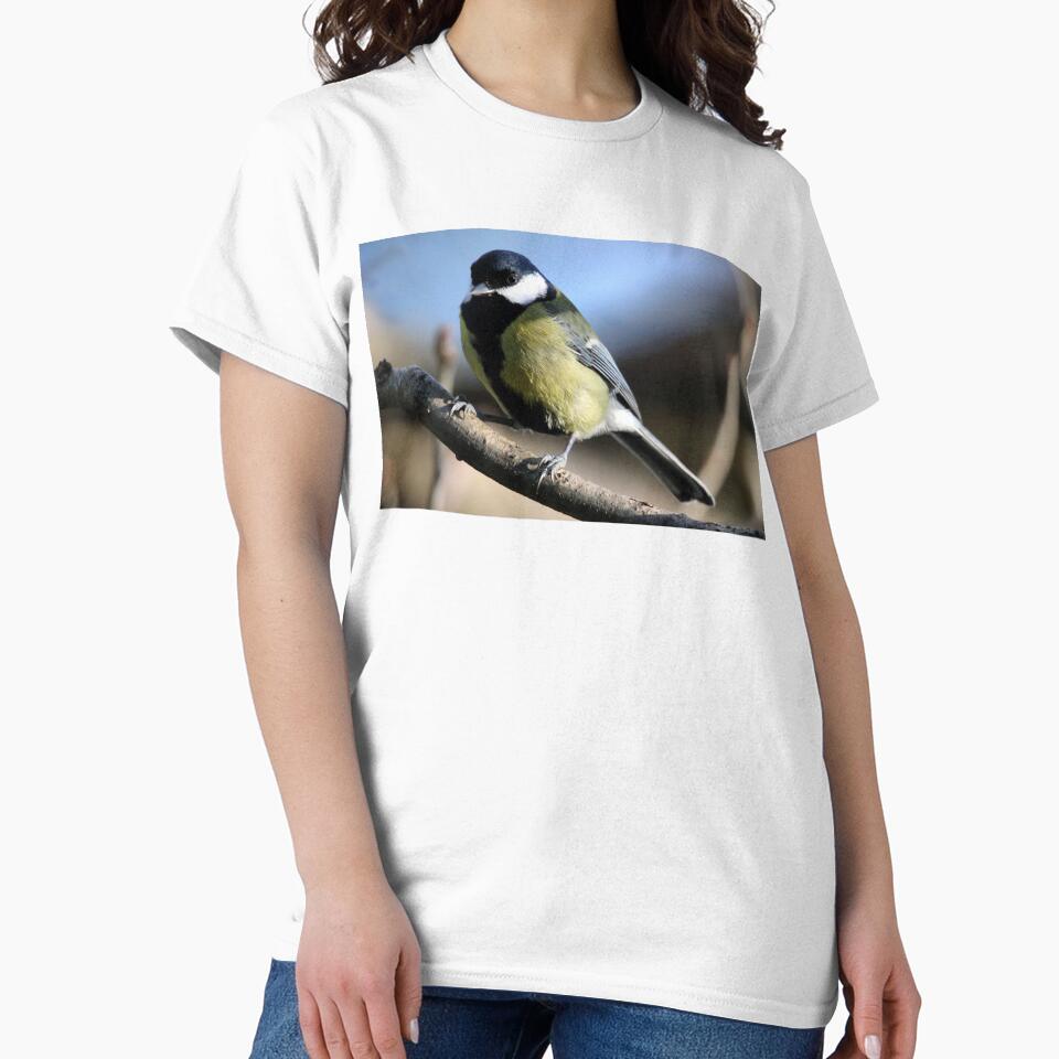 great tit by KathleenDawson