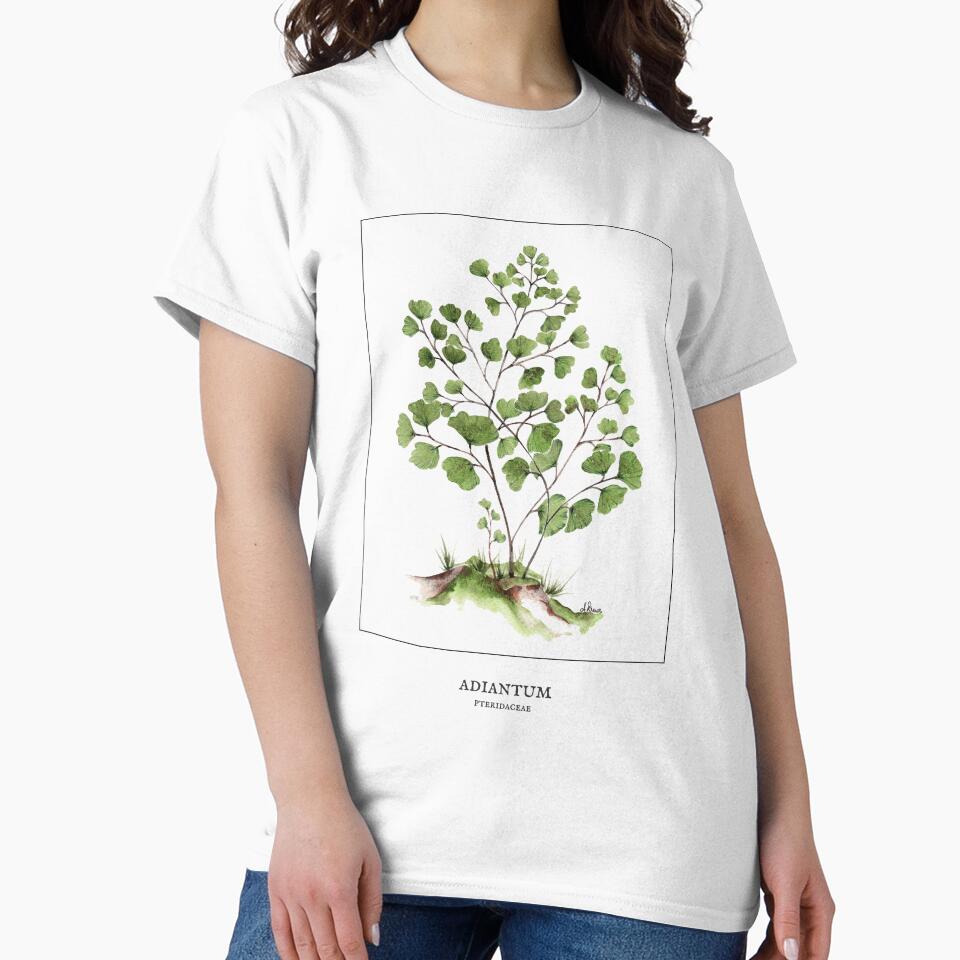 Maidenhair fern by PetitMartin