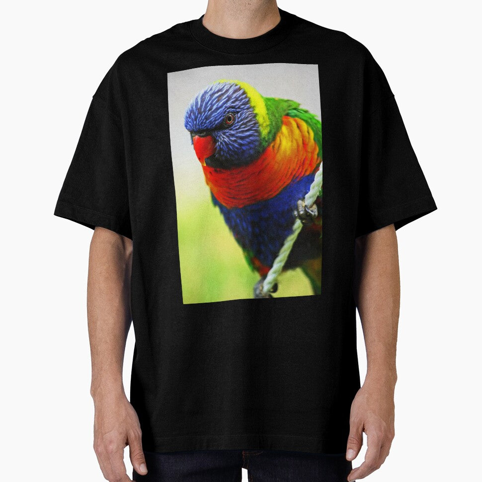 Rainbow Lorikeet by Evita