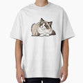 Ragdoll Soft Plop Cat Relaxed by pumsquare