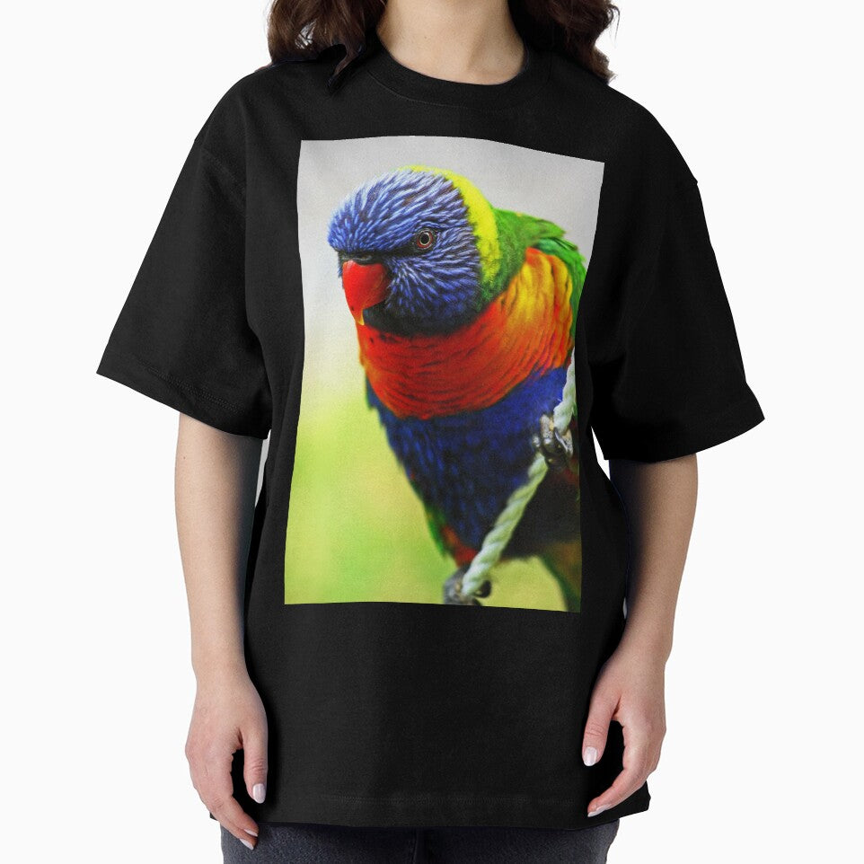 Rainbow Lorikeet by Evita