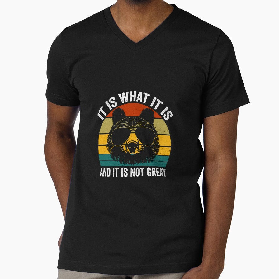 It Is What It Is and It Is Not Great Funny Cartoon Bear Meme by 7Merch Unisex , , , Long Sleeve Tee