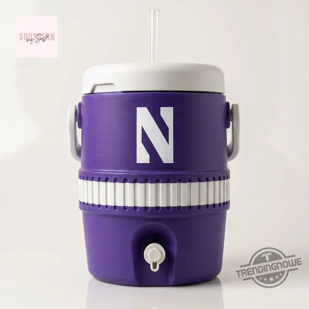 Northwestern Wildcats Game Day Insulated Water Cooler Cup