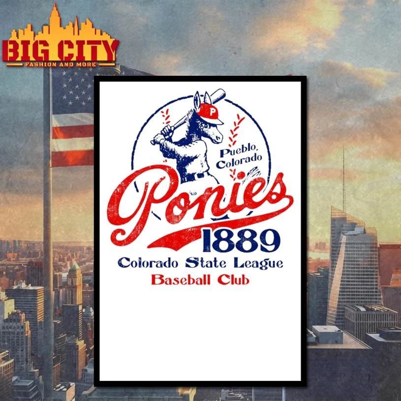 Pueblo Ponies Colorado Vintage Shirt