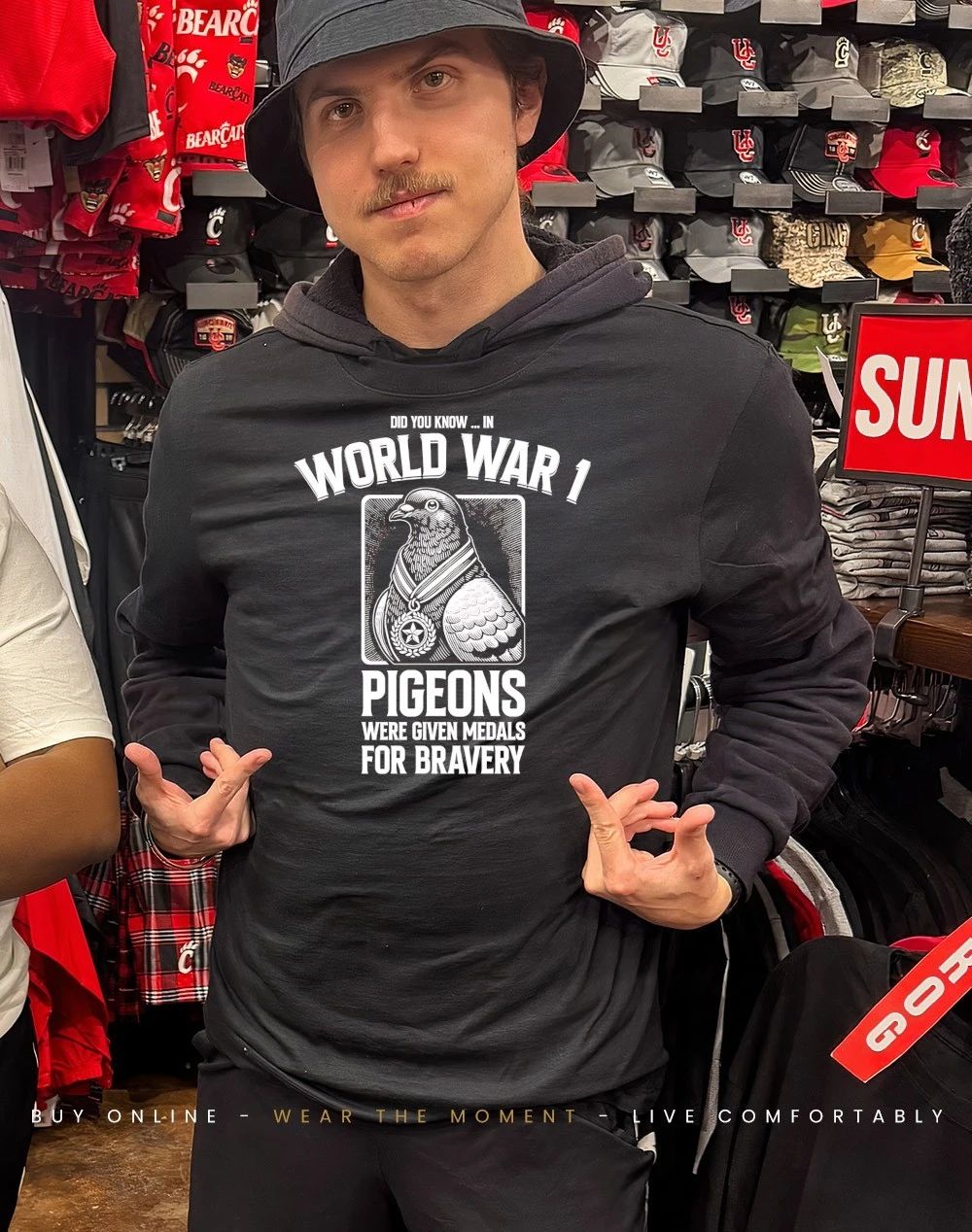 Did you know World war I pigeons were given medals for bravery shirt